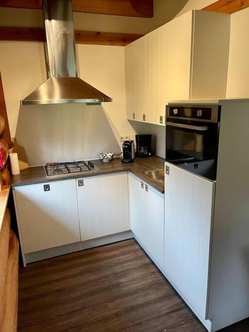 Unieke Houten Villa Met Sauna In Twente - 6P Den Ham Buitenkant foto