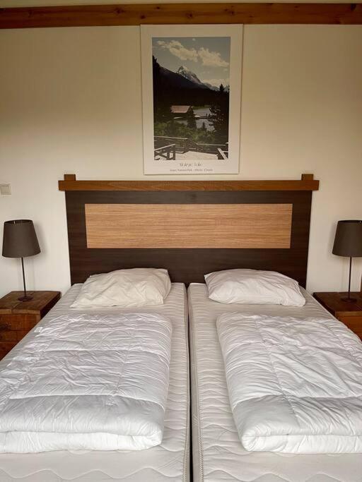 Unieke Houten Villa Met Sauna In Twente - 6P Den Ham Buitenkant foto