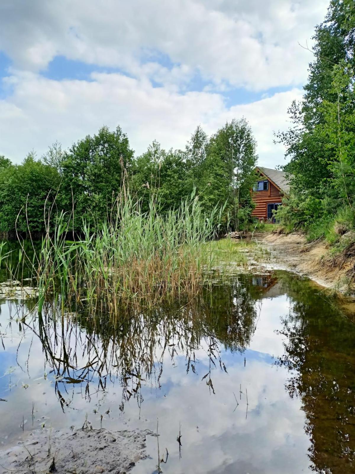 Unieke Houten Villa Met Sauna In Twente - 6P Den Ham Buitenkant foto